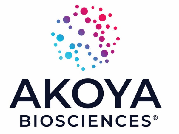 Akoya - לוגו המנפיק AKYA | 👁️GURU.Markets👁️ סמל ולוגו של המותג Akoya (AKYA)