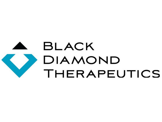 סמל וסימן מסחרי של חברת blackdiamondtherapeutics.com (BDTX) | 👁️GURU.Markets👁️ blackdiamondtherapeutics.com (BDTX) - לוגו תאגידי