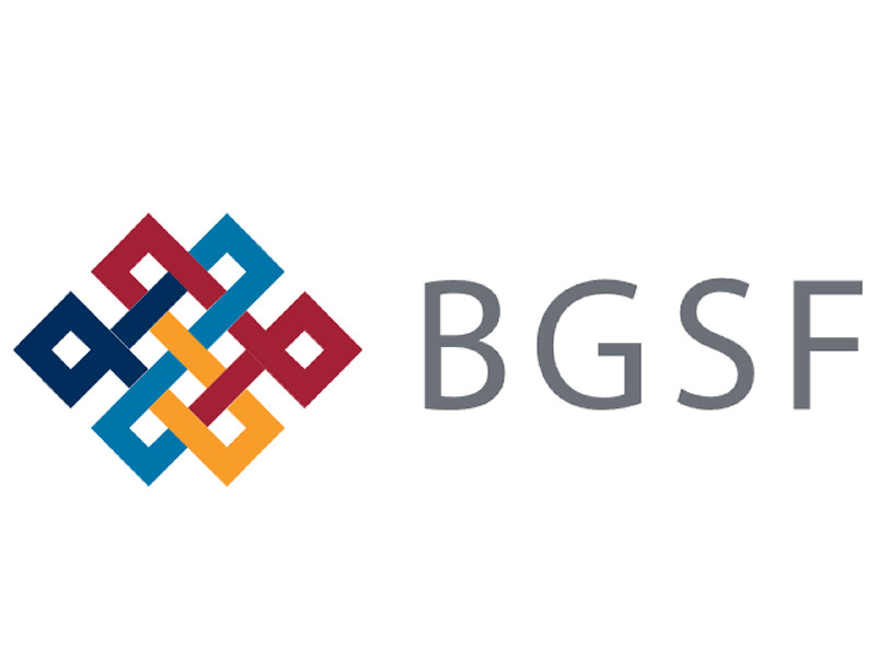 לוגו תאגידי של חברת BGSF Inc (BGSF)