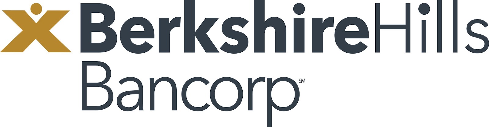 לוגו החברה Berkshire Hills Bancorp, Inc. (BHLB) | 👁️GURU.Markets👁️ לוגו תאגידי של חברת Berkshire Hills Bancorp, Inc. (BHLB)