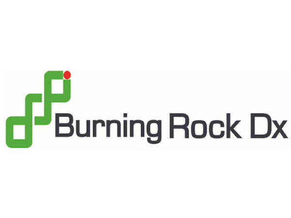 Logo korporat perusahaan Burning Rock (BNR)