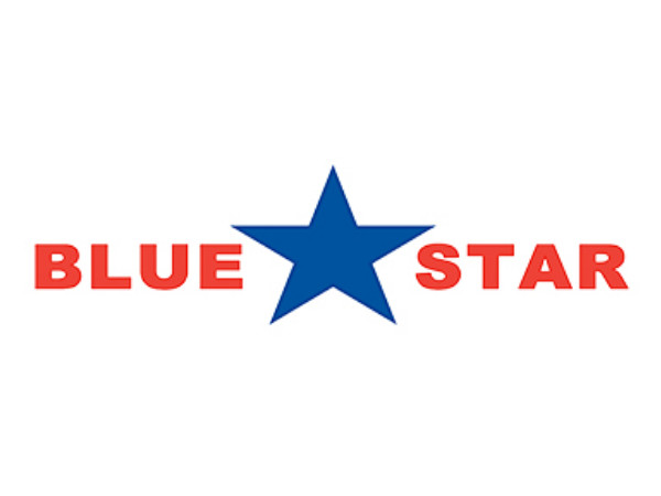 לוגו תאגידי של חברת Blue Star Foods Corporation (BSFC)