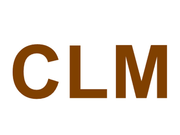 סימן מסחרי ולוגו של Cornerstone Strategic Fund (CLM) | 👁️GURU.Markets👁️ CLM (Cornerstone Strategic Fund) - סמל מסחרי של החברה
