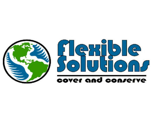 לוגו תאגידי של חברת Flexible Solutions (FSI)
