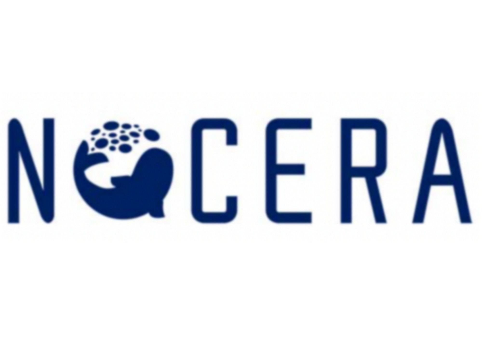 לוגו תאגידי של חברת nocera.company (NCRA)
