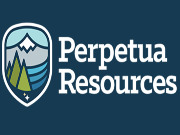 Perpetua Resources Corp. (PPTA) - לוגו רשמי של החברה | 👁️GURU.Markets👁️ לוגו גרפי של Perpetua Resources Corp. (PPTA)