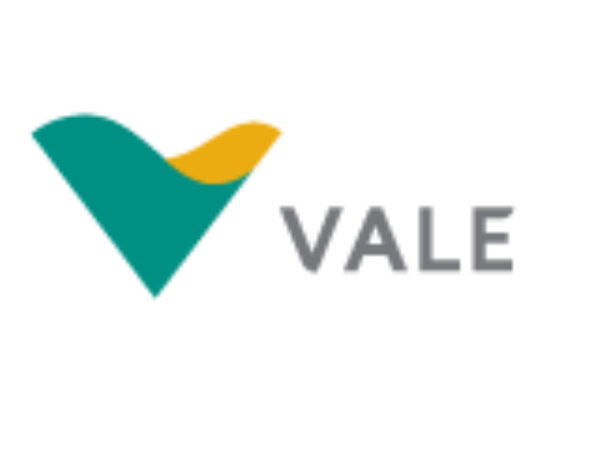 Vale (VALE) - logo resmi perusahaan | 👁️GURU.Markets👁️ Logo grafis Vale (VALE)