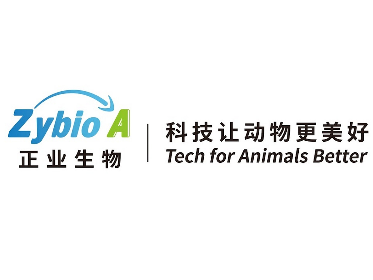 לוגו החברה Zhengye Bio (ZYBT) | 👁️GURU.Markets👁️ לוגו תאגידי של חברת Zhengye Bio (ZYBT)