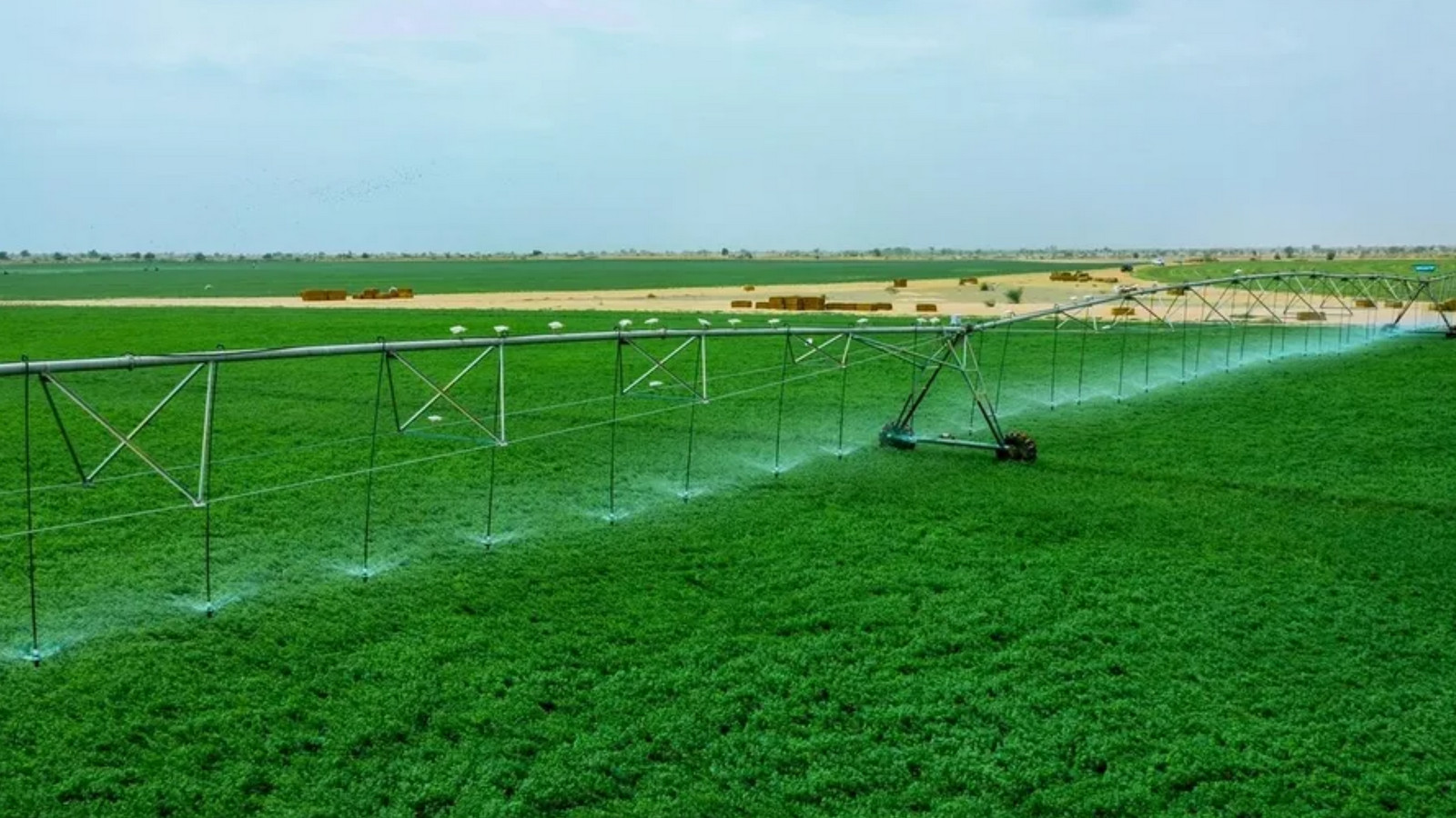 מוצר הדגל של African Agriculture Holdings | 👁️GURU.Markets👁️ דוגמת מוצר של African Agriculture Holdings