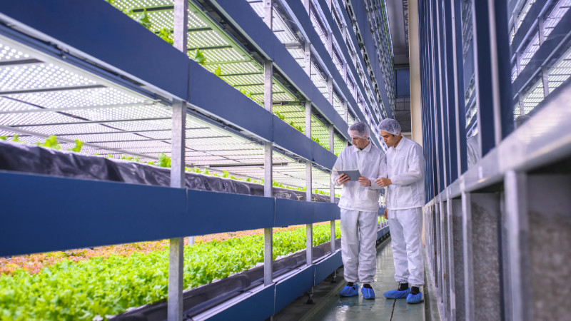 דוגמת מוצר של Agrify Corporation