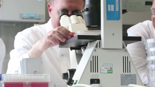 Apa sing didol bicycletherapeutics.com | 👁️GURU.Markets👁️ Produk seri bicycletherapeutics.com