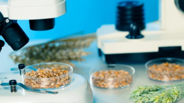 מוצר ממותג של Bioceres Crop Solutions Corp
