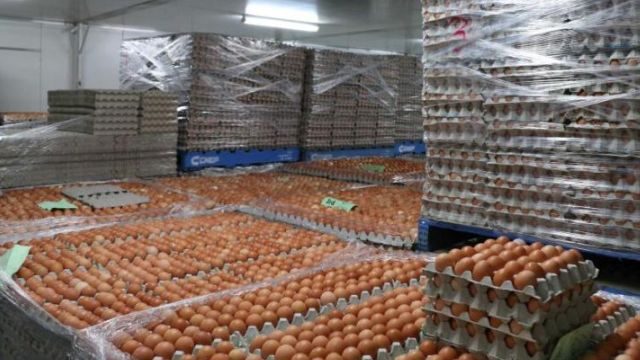 Cal-Maine - produk perusahaan | 👁️GURU.Markets👁️ Produk mawa merek Cal-Maine