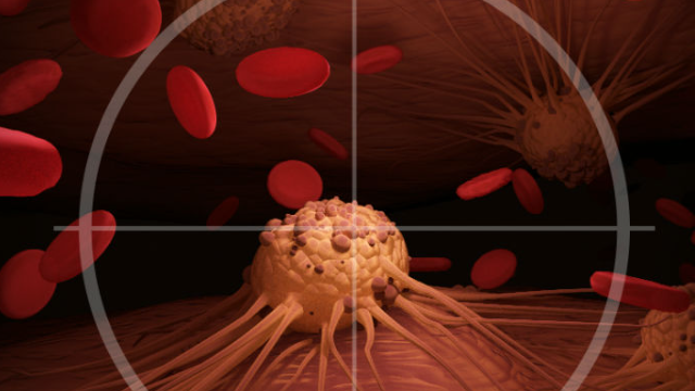 מוצר הדגל של Cellectar Biosciences | 👁️GURU.Markets👁️ דוגמת מוצר של Cellectar Biosciences