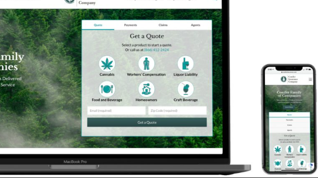 דוגמת מוצר של Conifer Holdings Inc