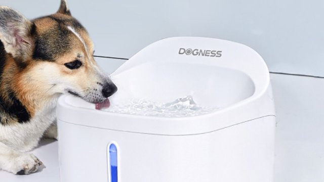 דוגמת מוצר של webus.dogness.com