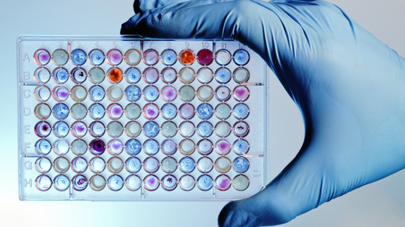 Forte Biosciences Inc - מוצר ממותג | 👁️GURU.Markets👁️ סחורת הדגל של Forte Biosciences Inc