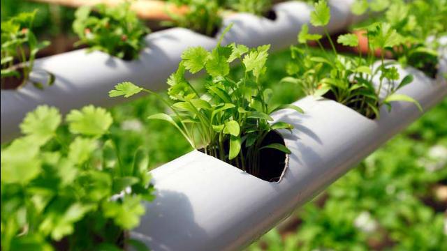 מוצר ממותג של growgeneration.com