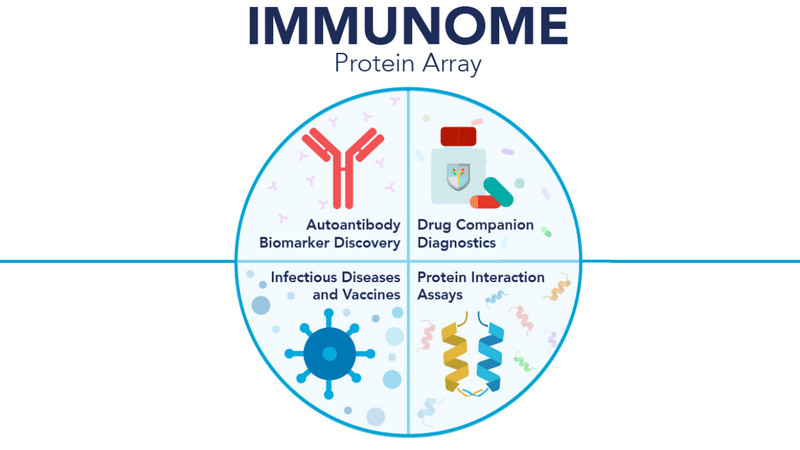 Immunome Bio - produk mawa merek | 👁️GURU.Markets👁️ Barang unggulan Immunome Bio