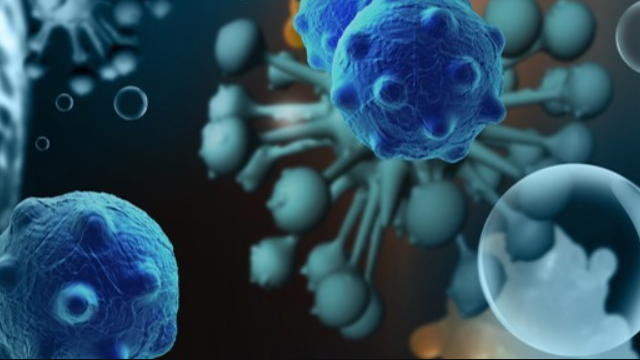 Produk unggulan Kintara Therapeutics | 👁️GURU.Markets👁️ Sampel barang Kintara Therapeutics