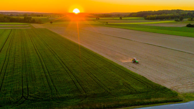 מוצר של חברת gladstonefarms.com | 👁️GURU.Markets👁️ מוצר עיקרי של gladstonefarms.com