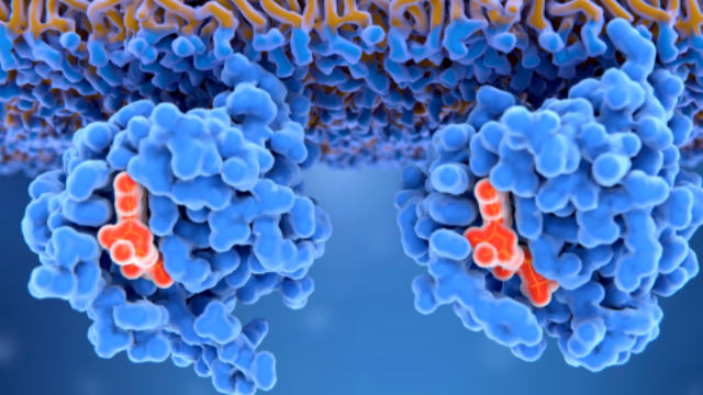 מוצר הדגל של Lixte Biotechnology | 👁️GURU.Markets👁️ דוגמת מוצר של Lixte Biotechnology