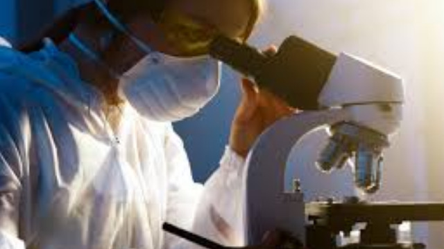 Novo Integrated Sciences Corp - produk perusahaan | 👁️GURU.Markets👁️ Produk asli Novo Integrated Sciences Corp