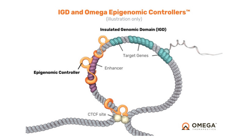 מוצרים מיוצרים של omegatherapeutics.com