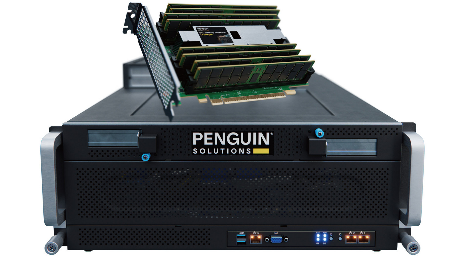 Penguin Corp - דוגמת מוצר | 👁️GURU.Markets👁️ פריט של המותג Penguin Corp