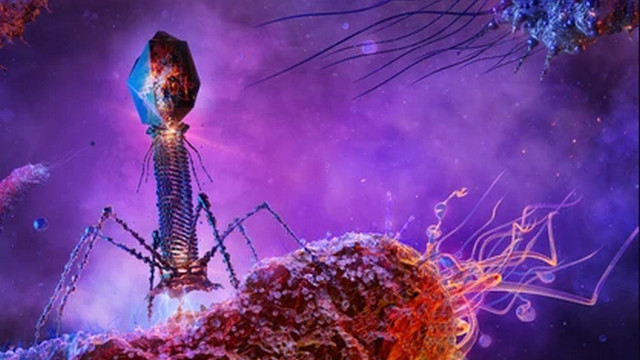 דוגמת מוצר של biomx.com
