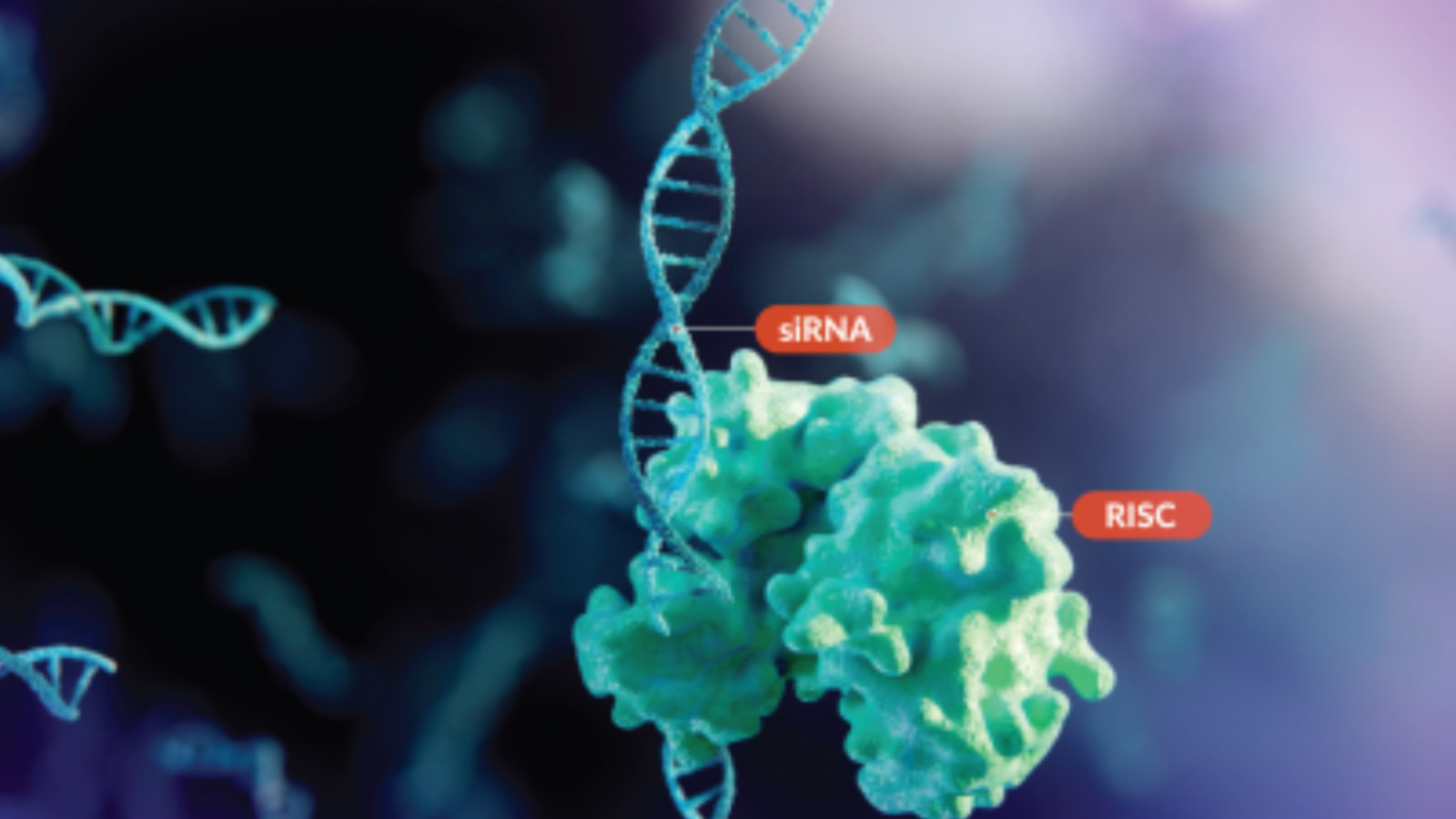 מוצרים של Silence Therapeutics Inc. | 👁️GURU.Markets👁️ מוצרים מיוצרים של Silence Therapeutics Inc.