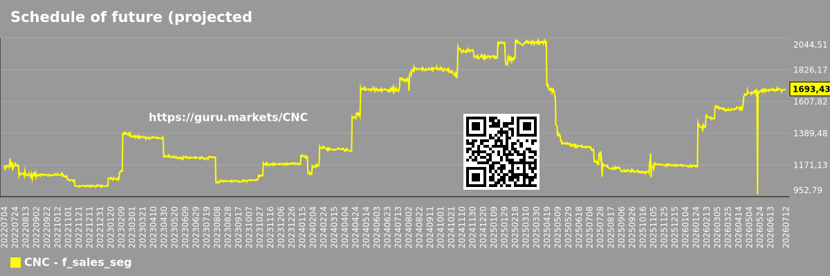 Schedule of future (projected) sales of companies in the market segment - CNC