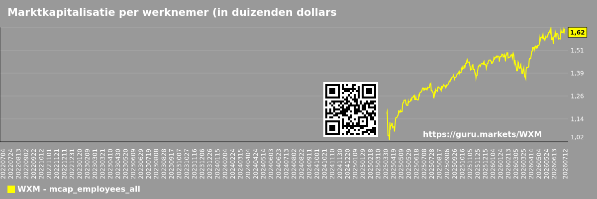Marktkapitalisatie per werknemer (in duizenden dollars) voor de totale markt