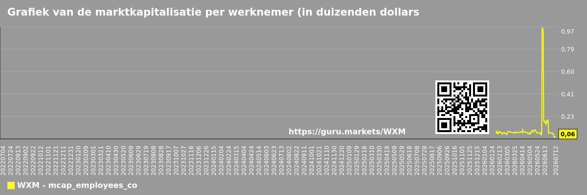Grafiek van de marktkapitalisatie per werknemer (in duizenden dollars) van het bedrijf WF International Ltd (WXM)