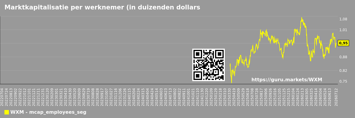 Marktkapitalisatie per werknemer (in duizenden dollars) per marktsegment - Нет
