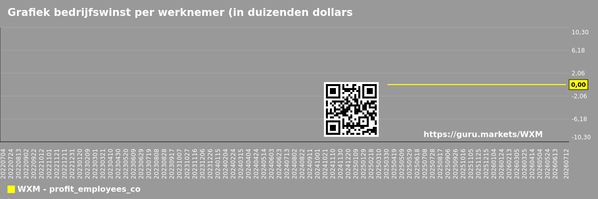 Grafiek bedrijfswinst per werknemer (in duizenden dollars) WF International Ltd (WXM)